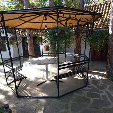 Radicini Konaci Vinci