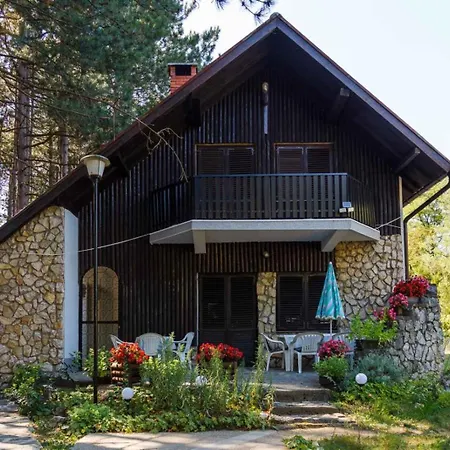 Radicini Konaci Vinci