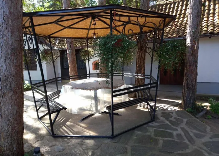 Radicini Konaci Vinci