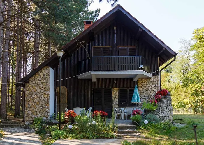 Radicini Konaci Vinci