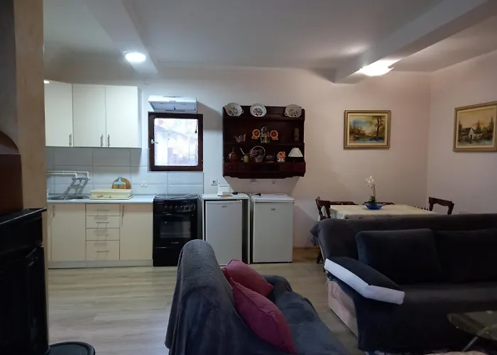 Radicini Konaci * Vinci